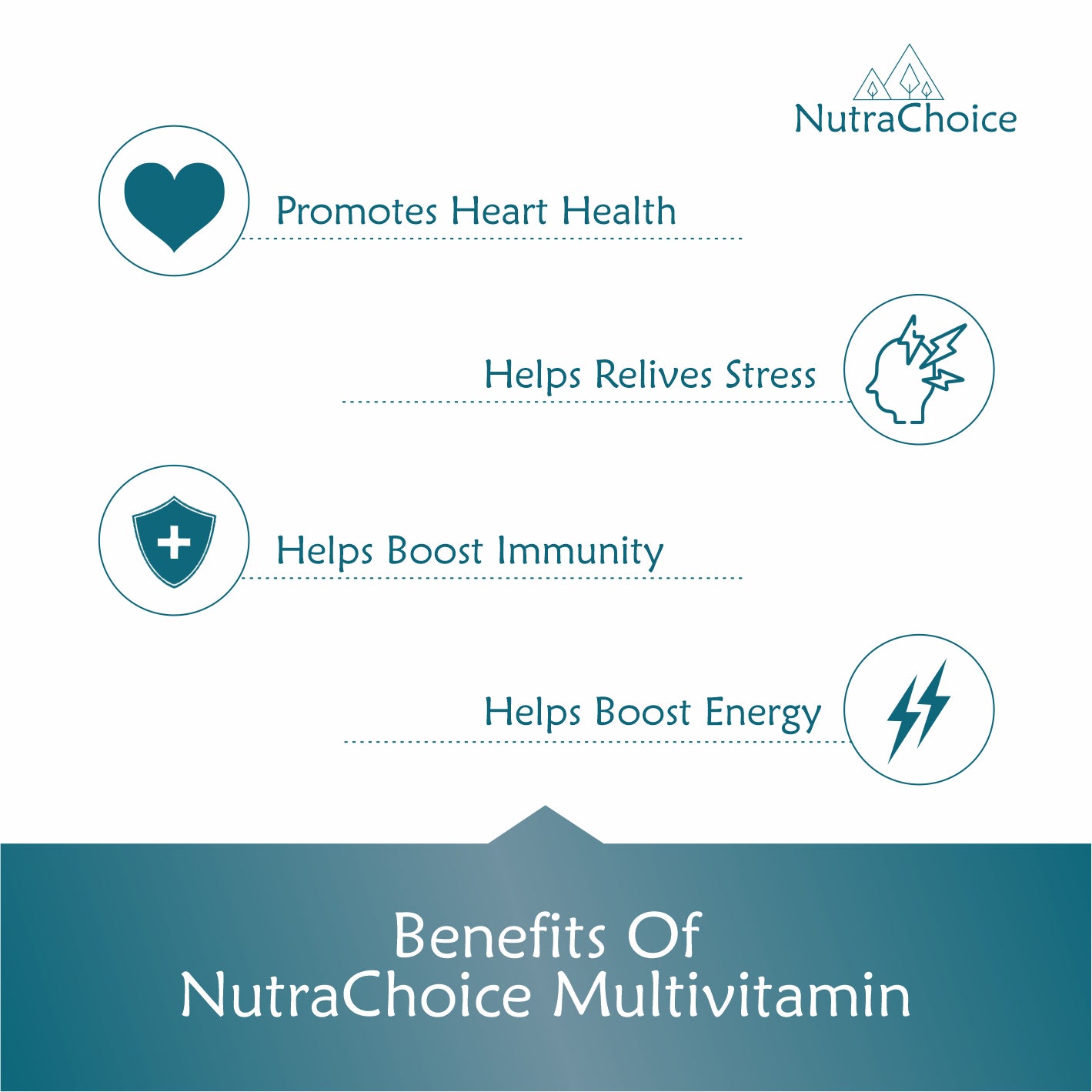 NutraChoice Multivitamin Tablet for Men & Women (120 Tablets) With Probiotics, Vitamin C, E, B12, Zinc, Bones, Biotin, Amino Antioxidants for Healthy Hair, Strength, Stamina, Skin & Nails.